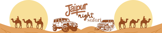 jaipurnightsafari.com